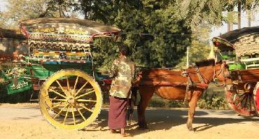 Visiter Balade autour de la ville en calèche traditionnelle.