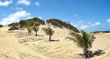 Visiter Dunes de Genipabu