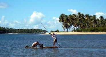 Visiter Tamandaré