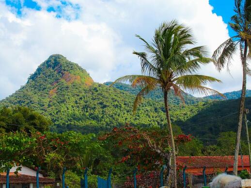 © Unsplash - tutz dias Ilha Grande