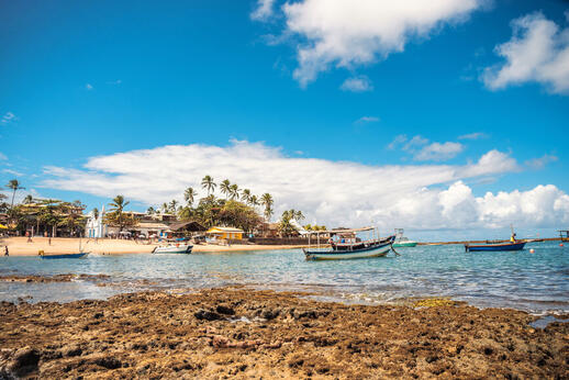 © Shutterstock - Patino Praia do Forte