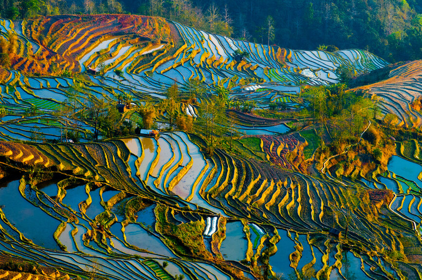 © Shutterstock - Jimmy Tran Yuanyang