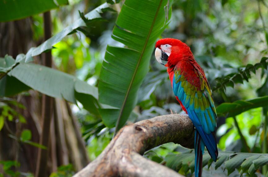 ©Unsplash - Juan Camilo Guarin P