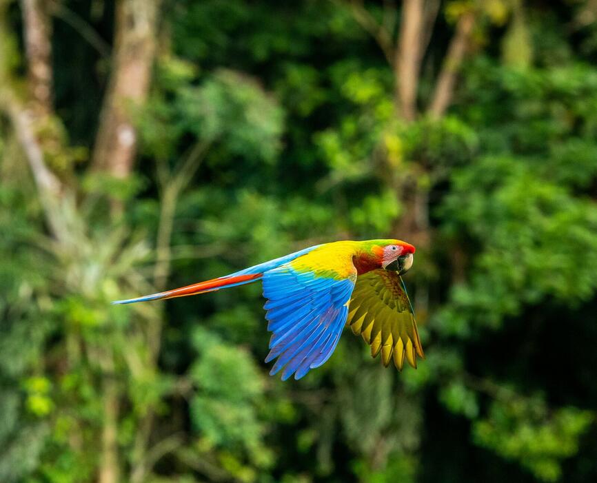 ©Unsplash - Zdeněk Macháček