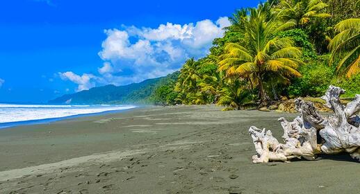 © IStock - TSimonDannhauer Isla del Caño au Costa Rica