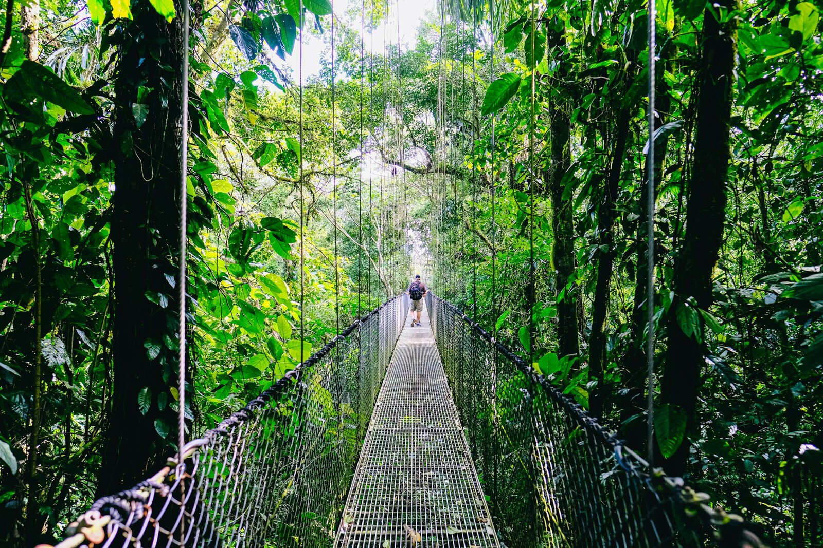 © unsplash - Fabio Fistarol