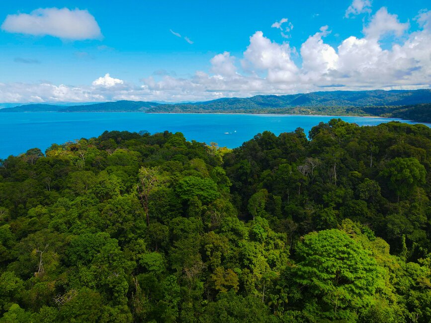 © Unsplash- Florian Delée Parc national Corcovado, Drake Bay