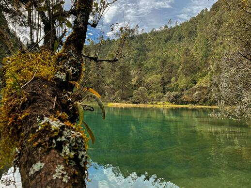© Unsplash-  Jose Fajardo Huehuetenango