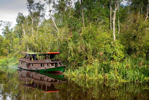 © Shutterstock -Paul Harding 00 Croisière dans le Parc National de Tanjung Puting