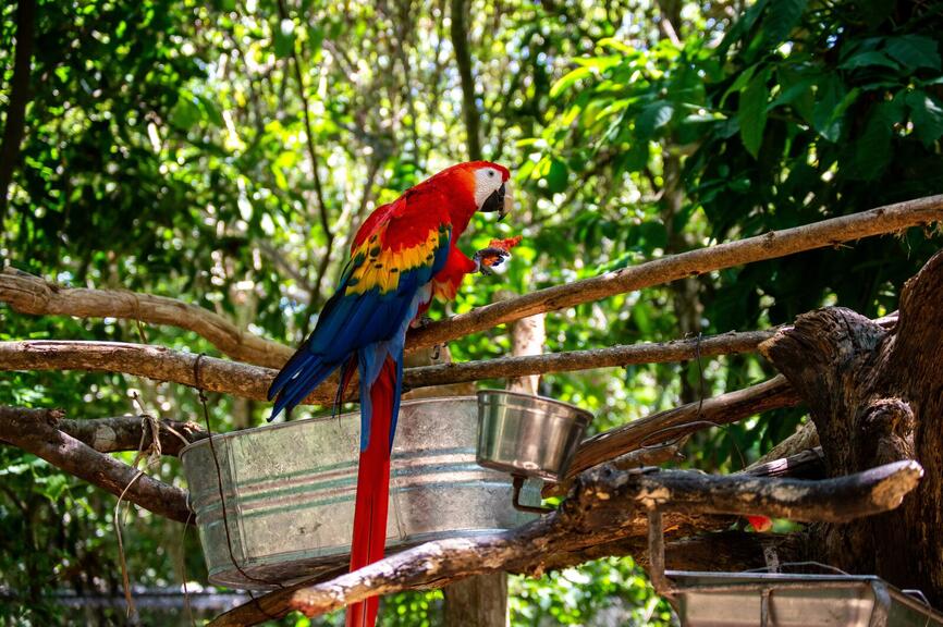 ©Unsplash - Crisoforo Gaspar
