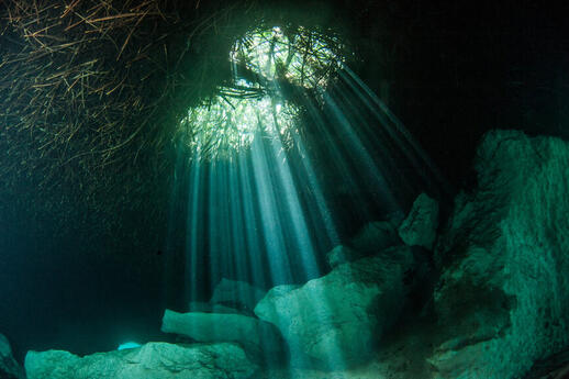 © Shutterstock - Michael Bogner Casa Cenote