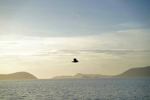 © Unsplash - Edgardo López Rodelo Bahia de los Angeles