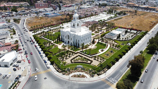 © Shutterstock - Adrian duran Tijuana