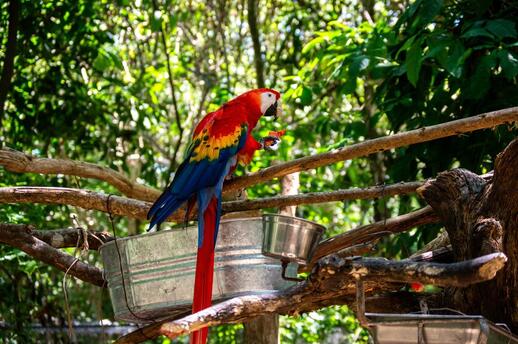 © Unsplash- Crisoforo Gaspar Hernandez Palenque