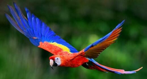 © IStock - Freder Journée de randonnée