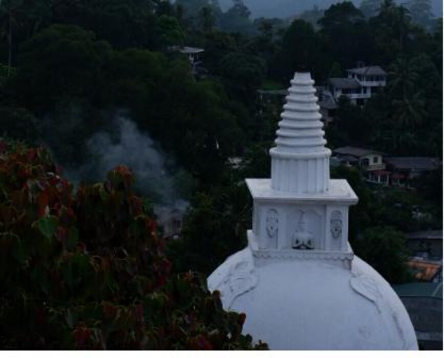 © Unsplash - Gleb Tiidt Circuits des temples près de Kandy