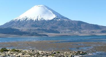 Visiter Découverte de l'Altiplano : Putre, Parinacota, Parc National Lauca