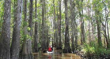 Visiter Kayak sur le fleuve Filo del Tallo