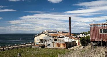 Visiter Visite de Punta Arenas