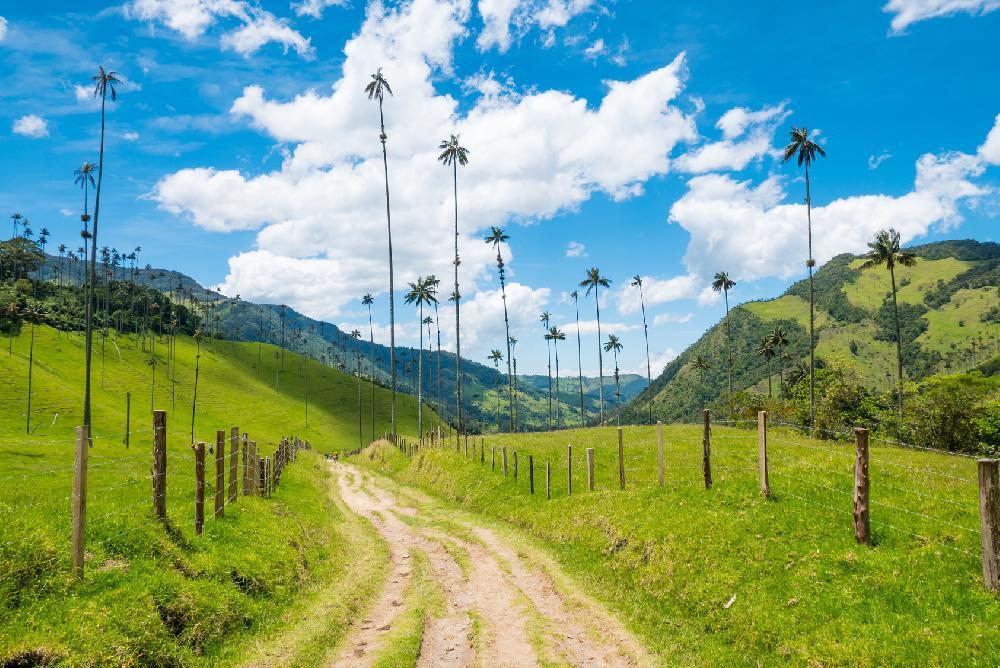 Grande découverte de la Colombie