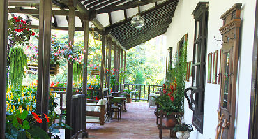 Visiter Hacienda de café