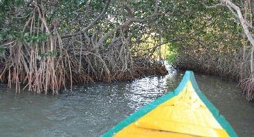 Visiter La Boquilla