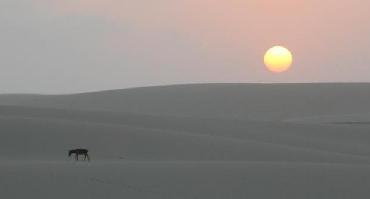 Visiter Punta Gallinas