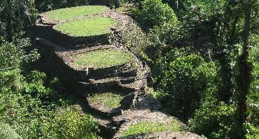 Visiter Trekking vers la Ciudad Perdida