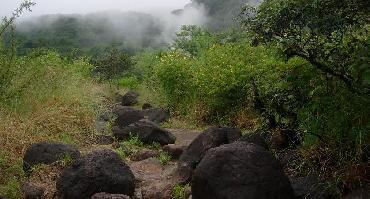 Visiter Découverte du parc Rincon de la Vieja (2 à 4h)