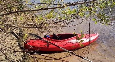 Visiter Kayak dans l'estuaire (2h30)