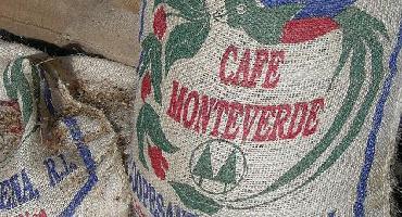 Visiter Plantations de café (2h30)