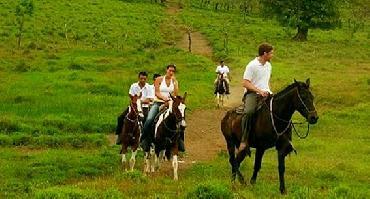 Visiter Promenade à cheval (2h30)