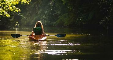 Visiter TOUR EN BATEAU OU KAYAK SUR LE RIO SAN CARLOS (APRÈS-MIDI)