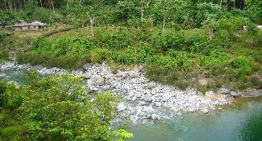 Visiter El Yunque