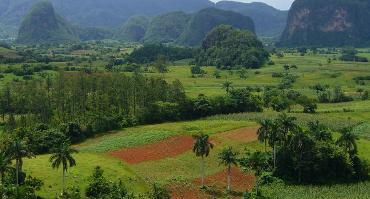 Visiter Vallée de Vinales