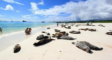 Croisière aux Galapagos