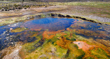 Visiter Excursion dans le parc national de Sajama