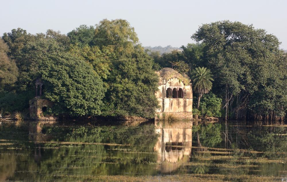 De la jungle de Kipling au bord du Gange