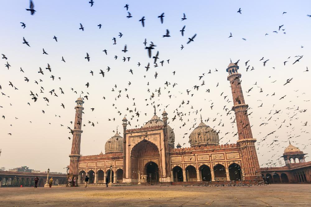 Trésors du Rajasthan