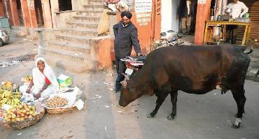 Visiter Balade : bazars, cuisine et artisanat