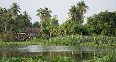 Visiter Ile de Majuli