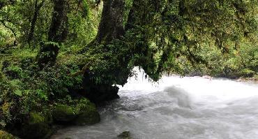 Visiter Pêche et rafting