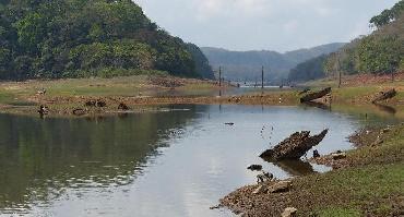 Visiter Réserve naturelle de Periyar