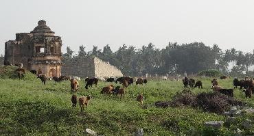 Visiter Hampi (UNESCO)