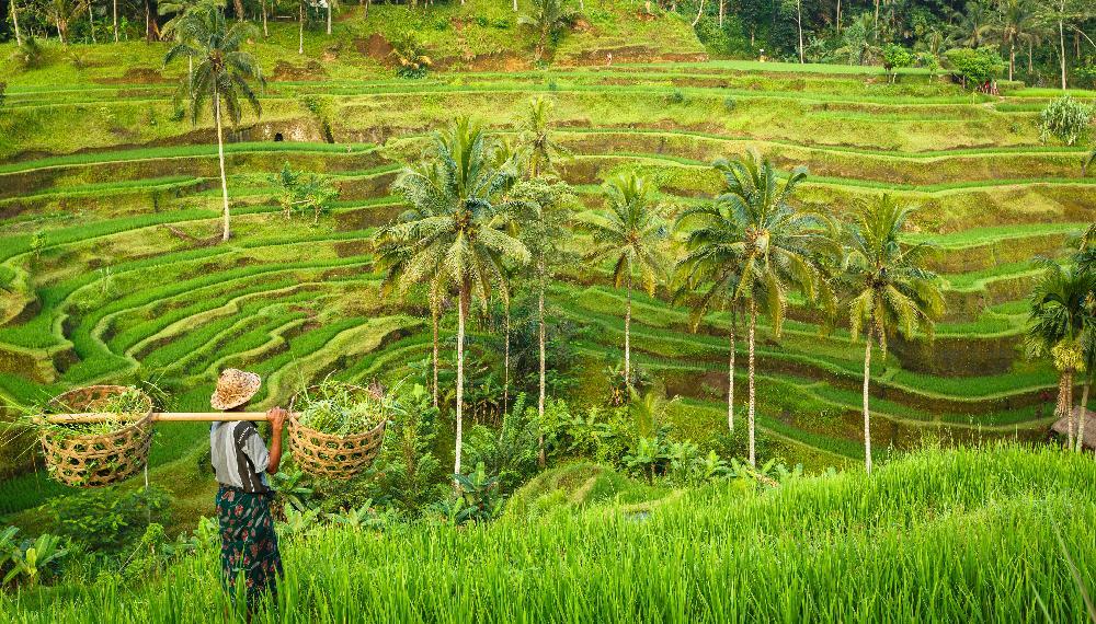 Bali en Famille