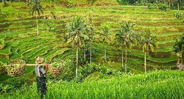 Bali en Famille