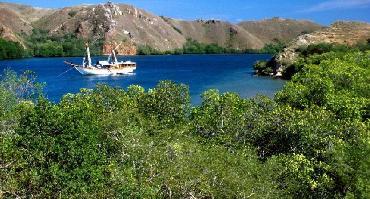 Visiter Croisière 5j/4n : Flores / Rinca / Komodo