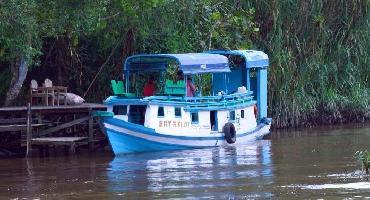 Visiter Croisière dans le Parc National de Tanjung Puting