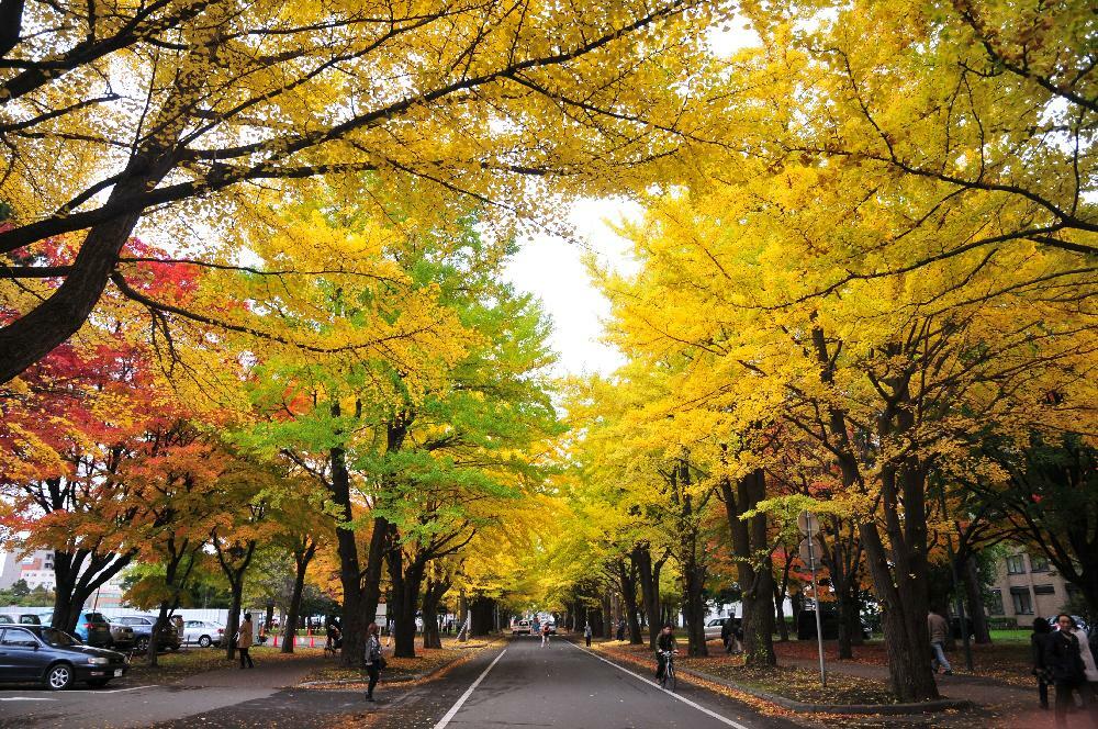 L'île d'Hokkaido