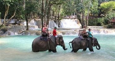 Visiter Balade à dos d’éléphant et chutes de Tad Sae